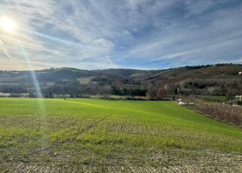 Terreno agricolo Contrada Tesino, Offida - foto 3