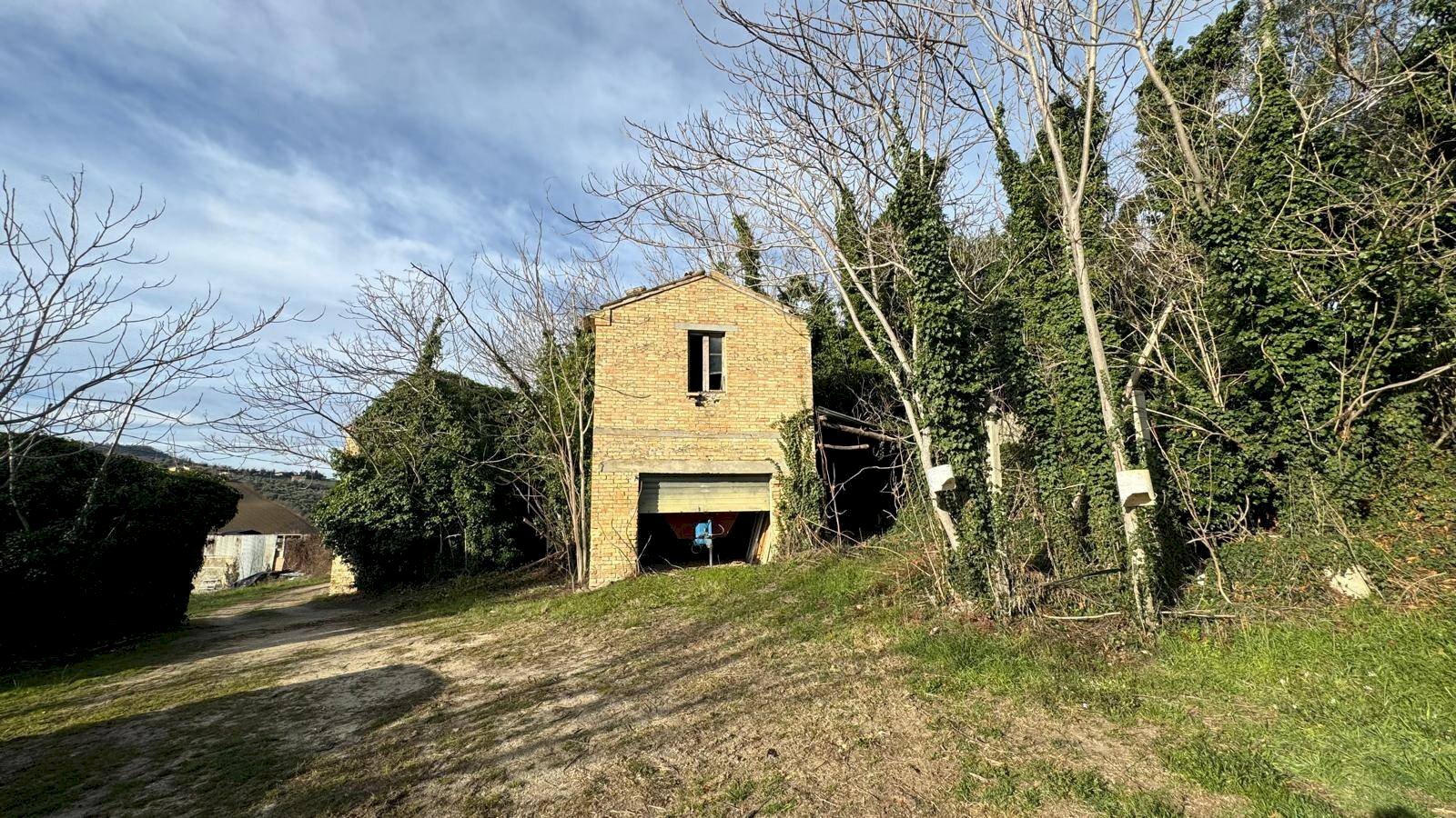 Rustic Contrada Tesino, Offida - photo 3