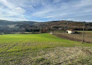 Rustic Contrada Tesino, Offida - photo 6