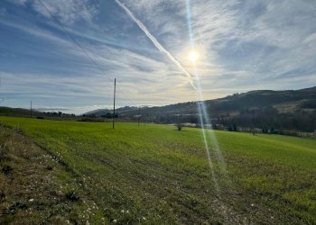 Rustic Contrada Tesino, Offida - photo 11