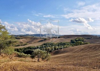 Rustico ciliano, Torrita di Siena - foto 5