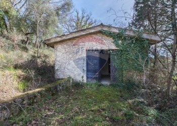 Rustic Assisi - photo 13