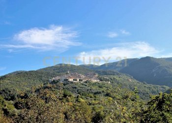 Belcolle_terreno (6).jpg - Terreno edificabile Via Casalinaccio, Roccantica - foto 6