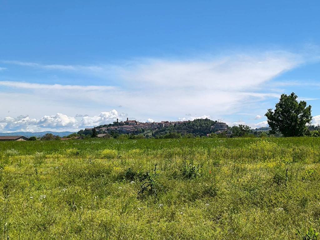 Terreno - Rustic via Vecchia di Pianfei, 18, Mondovì - photo 3