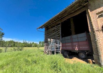 Terreno - Rustic via Vecchia di Pianfei, 18, Mondovì - photo 13