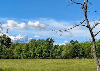 Terreno - Rustic via Vecchia di Pianfei, 18, Mondovì - photo 14