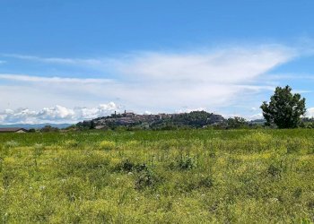 Terreno - Rustic via Vecchia di Pianfei, 18, Mondovì - photo 3