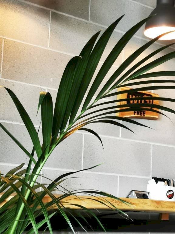 Interno palazzo - Bar Tavola Calda - Fredda Pinerolo - foto 3