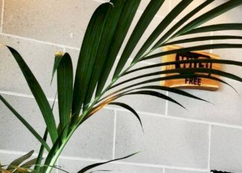 Interno palazzo - Bar Tavola Calda - Fredda Pinerolo - foto 3