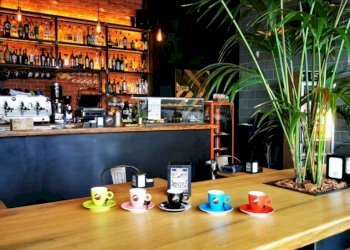 Interno non residenziale - Bar Tavola Calda - Fredda Pinerolo - foto 6