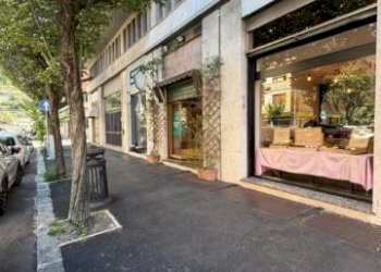Zona - Shop via Francesco Satolli, 14, Roma - photo 2