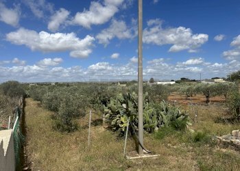 IMG_5153.JPG - Villa a Schiera Mazara del Vallo - foto 19