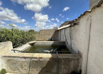 IMG_5167.JPG - Villa a Schiera Mazara del Vallo - foto 20