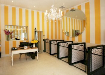 idea-toelettatura-3-1150x790.jpg - Laboratorio via volturno, Ancona - foto 3