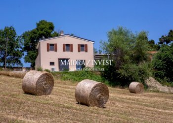 immobile in vendita18.jpg - Casale Contrada Ciafone, Offida - photo 19