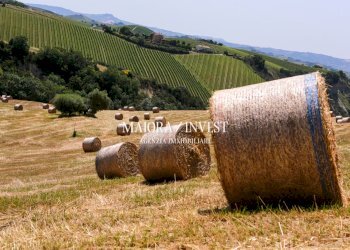 immobile in vendita21.jpg - Casale Contrada Ciafone, Offida - photo 22