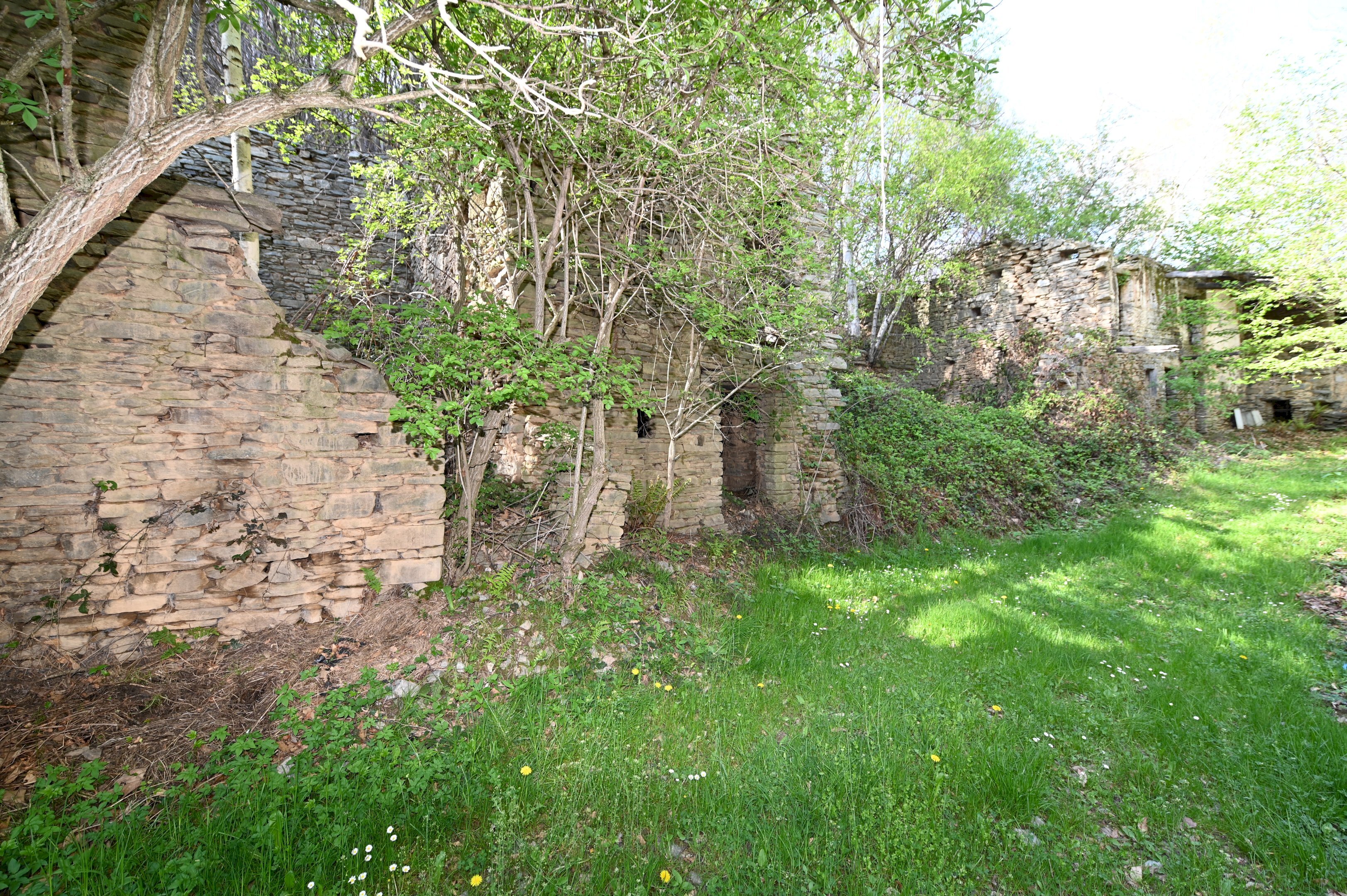 facciata  - Rustico Paesana - foto 1