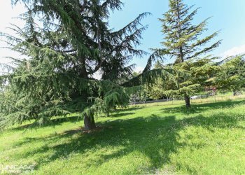 Villa Prarostino - photo 40