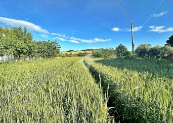 Agricultural land Via roma, San Giovanni in Marignano - photo 2
