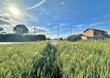Agricultural land Via roma, San Giovanni in Marignano - photo 10