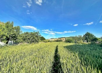 Agricultural land Via roma, San Giovanni in Marignano - photo 12