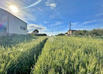 Agricultural land Via roma, San Giovanni in Marignano - photo 15