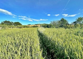 Agricultural land Via roma, San Giovanni in Marignano - photo 17