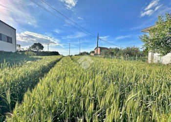 Agricultural land Via roma, San Giovanni in Marignano - photo 22