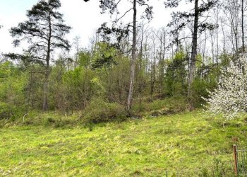 Terreno - Villa Località Canneto, Gorreto - foto 16