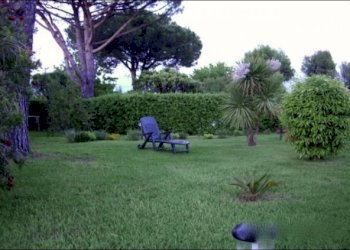 GIARDINO - Casa semi indipendente Ameglia - foto 14