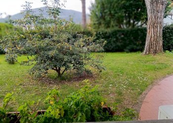 WhatsApp Image 2025-03-26 at 11.35.29(2).jpeg - Casa semi indipendente Ameglia - foto 18