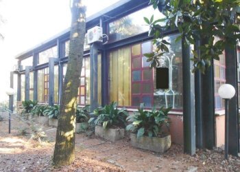 f6.jpg - Ristorante VIA DELLO ZUCCHERIFICIO  53, Badia Polesine - foto 5