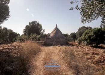 14.jpg - Casa indipendente Contrada Tamburroni, Ostuni - foto 2