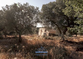 27.jpg - Casa indipendente Contrada Tamburroni, Ostuni - foto 14