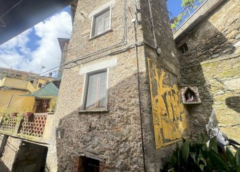 IMG_5100.JPG - Terratetto - Terracielo Camaiore - foto 1