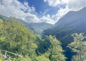 IMG_5098.JPG - Terratetto - Terracielo Camaiore - foto 2