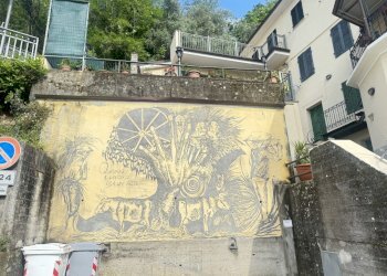 IMG_5099.JPG - Terratetto - Terracielo Camaiore - foto 3