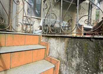 IMG_5106.JPG - Terratetto - Terracielo Camaiore - foto 6