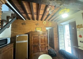 IMG_5137 2.JPG - Terratetto - Terracielo Camaiore - foto 11