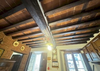 IMG_5117 2.JPG - Terratetto - Terracielo Camaiore - foto 12