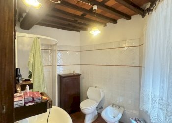 IMG_5114 2.JPG - Terratetto - Terracielo Camaiore - foto 19