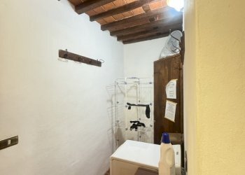 IMG_5115 2.JPG - Terratetto - Terracielo Camaiore - foto 20