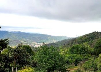 Independent house Quiliano - photo 20