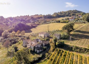 Rustic Contrada San Michele, Ripatransone - photo 9