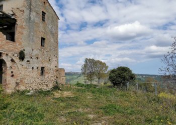 Rustic Contrada San Michele, Ripatransone - photo 15