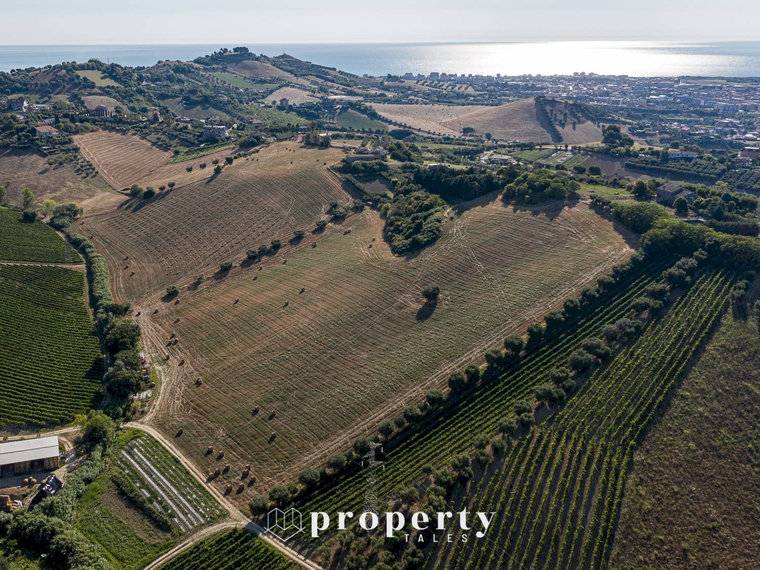Agricultural land Monteprandone - photo 3