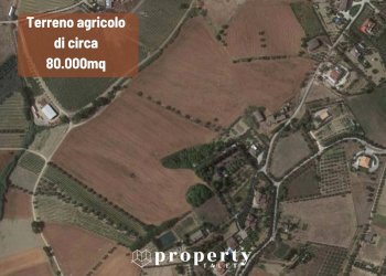 Agricultural land Monteprandone - photo 1