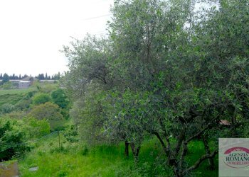 Rif 1462(Copy26).jpg - Rustico Via Monte Guano 19, Genova - foto 22