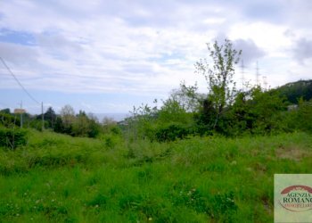 Rif 1462(Copy31).jpg - Rustico Via Monte Guano 19, Genova - foto 27