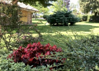 IMG_3532-scaled.jpg - Porzione di casa BARCAGLIONE, Ancona - foto 2